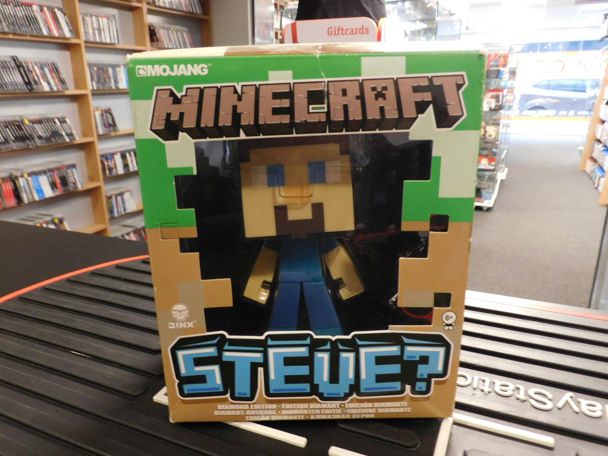 MINECRAFT STEVE?