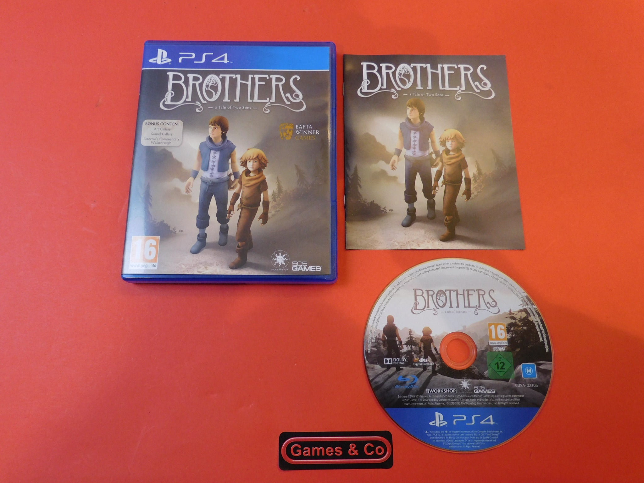 BROTHERS A TALE OF TWO SONS